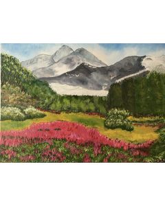 Mountain Spring