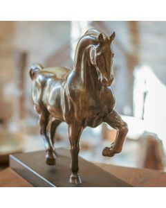 Arabian Horse
