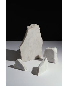 Coral Fragments